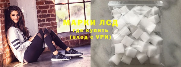 стафф Медвежьегорск