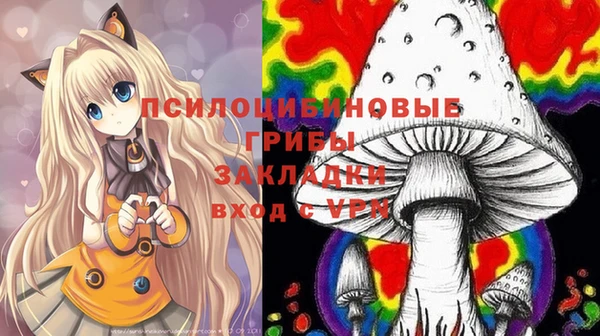 а пвп мука Магас